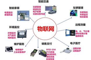 高考之后，專業(yè)抉擇 為何說計算機網(wǎng)絡(luò)工程是通往未來的關(guān)鍵一步